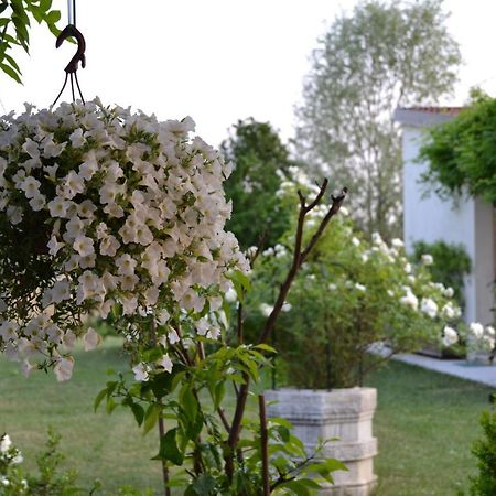 Two Elegant Depandance Villa Conscio Bagian luar foto