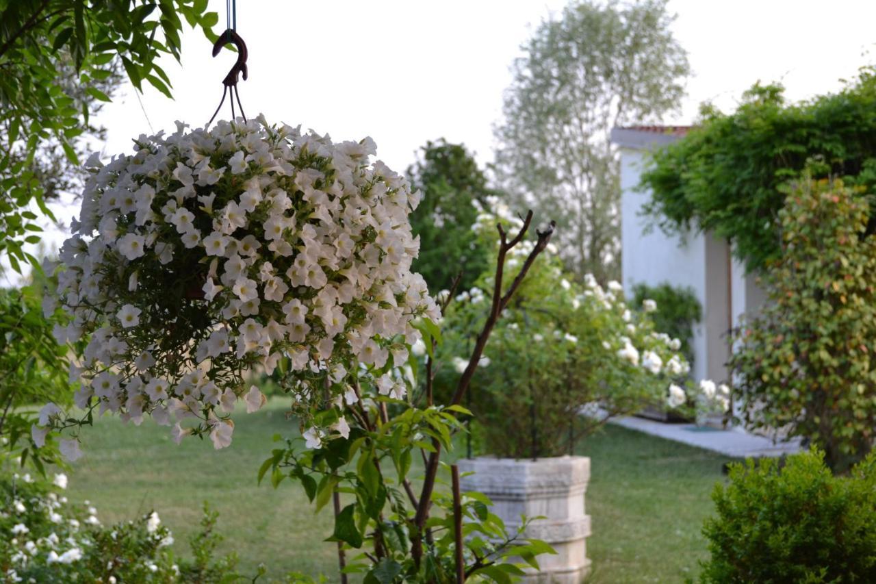 Two Elegant Depandance Villa Conscio Bagian luar foto